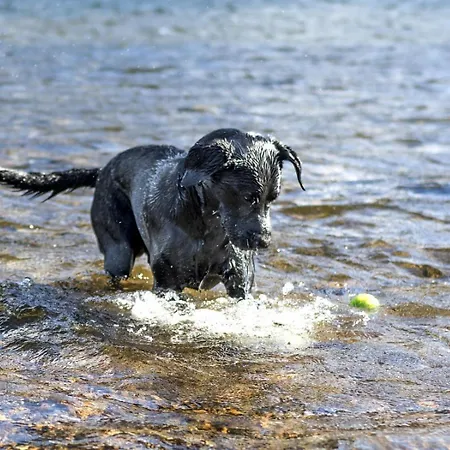 Сasa de vacaciones 2 Bed In 95741 Keswick (Cumbria)